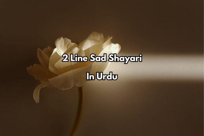 2-line-sad-shayari-in-urdu