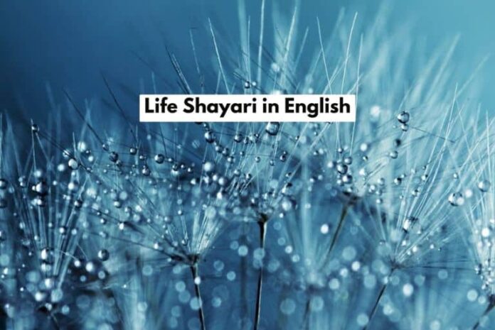 life-shayari-in-english