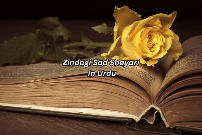 zindagi-sad-shayari-in-urdu