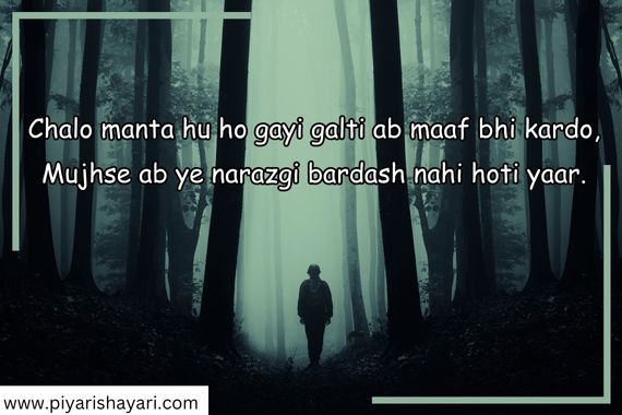 Feeling-sorry-shayari