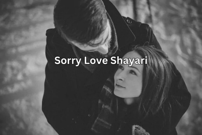 sorry-love-shayari