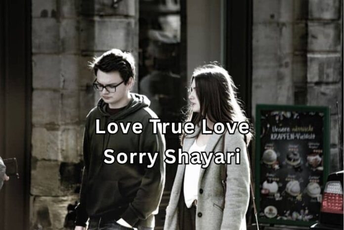 love-true-love-sorry-shayari