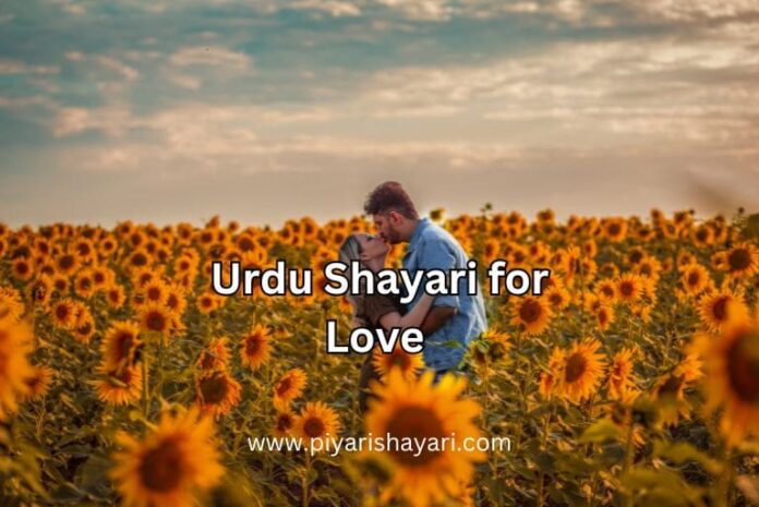 urdu-shayari-for-love