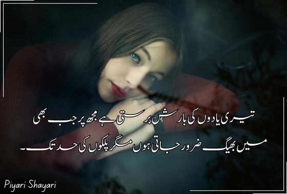 urdu shayari