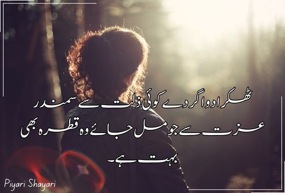 urdu shayari