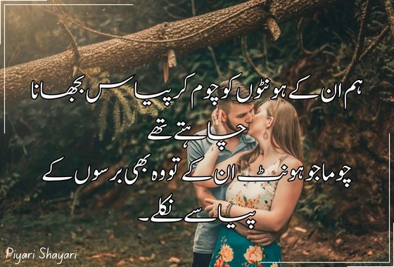 urdu shayari